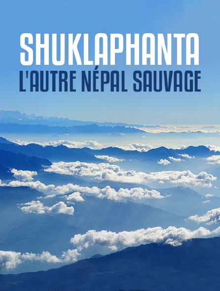 Shuklaphanta, l'autre Népal sauvage