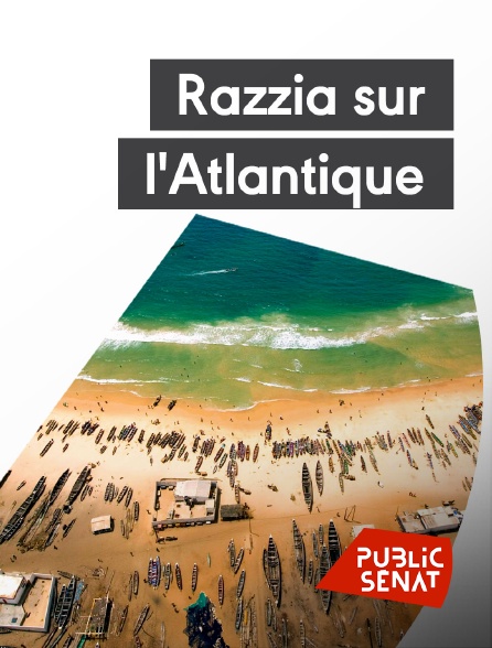 Public Sénat - Razzia sur l'Atlantique