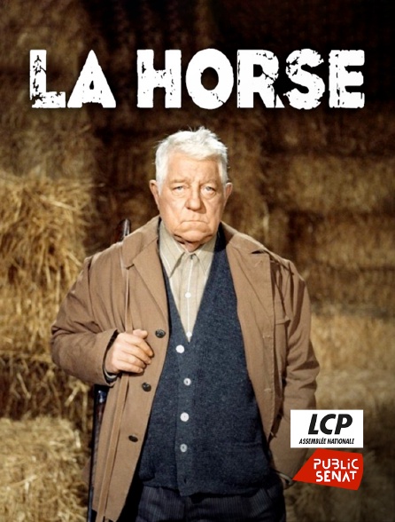 LCP Public Sénat - La horse