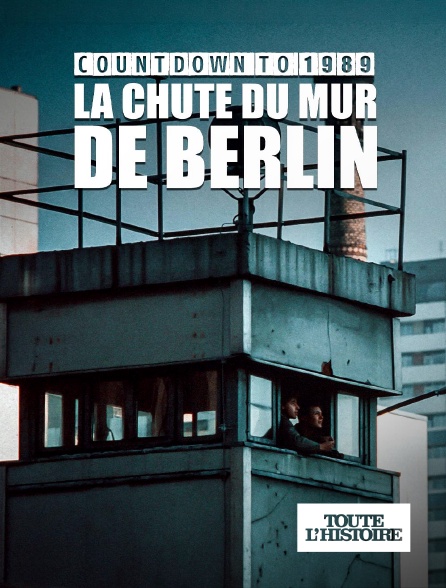 Toute l'Histoire - La chute du mur de Berlin