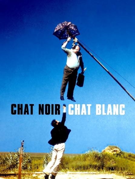 Chat noir chat blanc en streaming