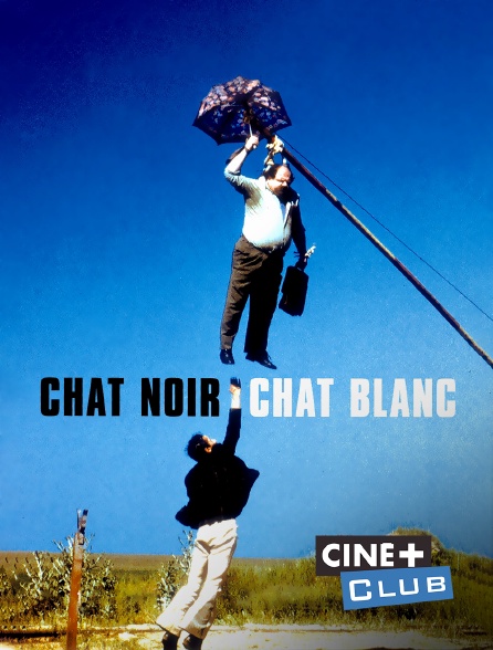 Ciné+ Club - Chat noir, chat blanc