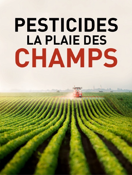 Pesticides, la plaie des champs