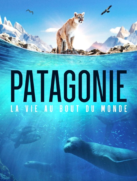 Patagonie la vie au bout du monde