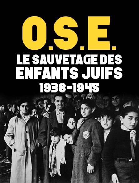 O.S.E., le sauvetage des enfants juifs, 1938-1945