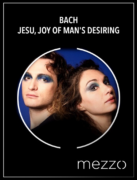 Mezzo - Bach : Jesu, Joy of Man's Desiring