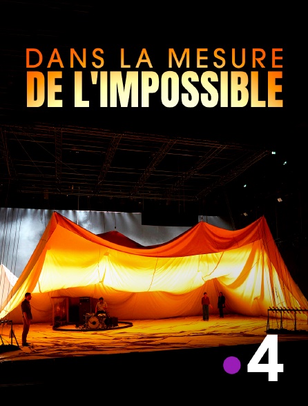 France 4 - Dans la mesure de l'impossible