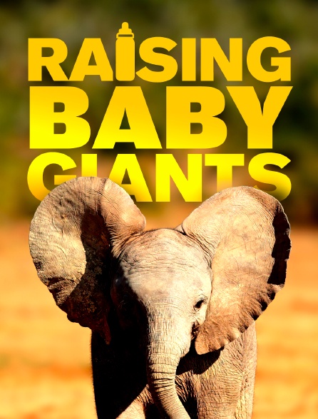Raising baby giants
