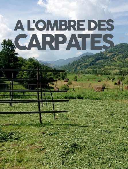 A l'ombre des Carpates