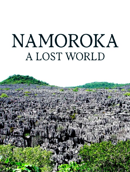 Namoroka : Un monde perdu