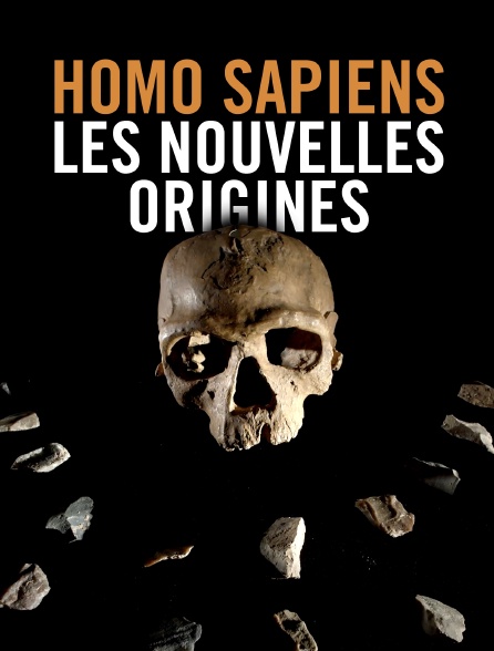 Homo sapiens, les nouvelles origines