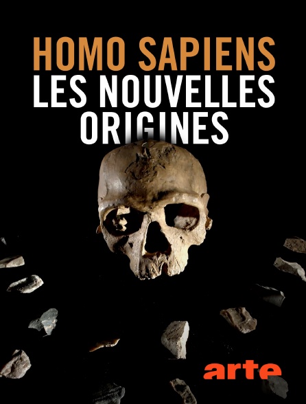 Arte - Homo sapiens, les nouvelles origines