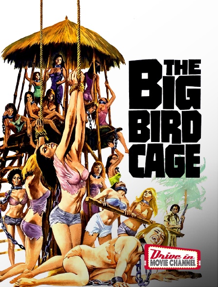 Drive-in Movie Channel - The Big Bird Cage