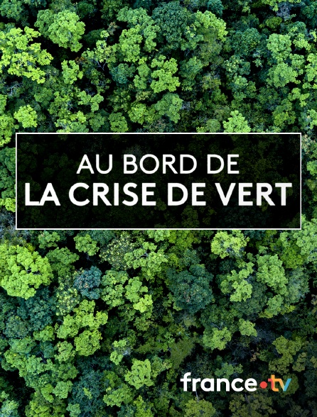 France.tv - Au bord de la crise de vert