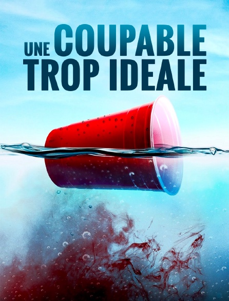 Une coupable trop idéale