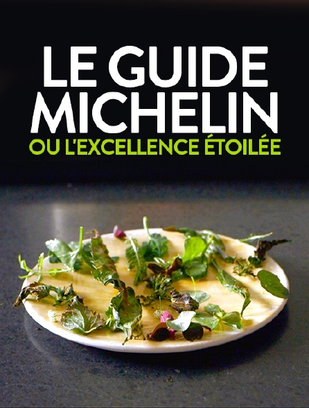 Le Guide Michelin ou l'excellence étoilée
