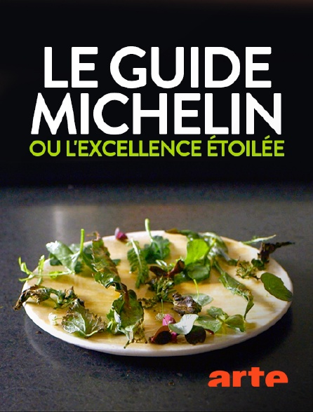 Arte - Le Guide Michelin ou l'excellence étoilée