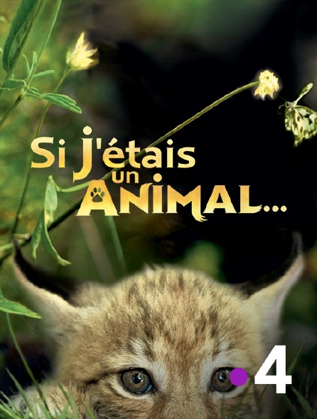 France 4 - Si j'étais un animal