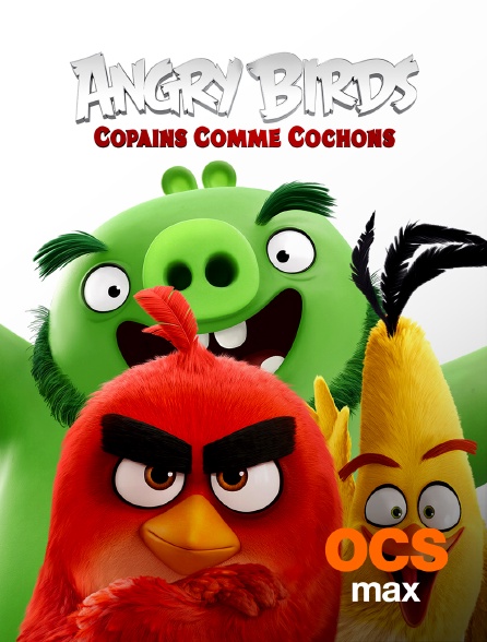 OCS Max - Angry birds 2 : Copains comme cochons