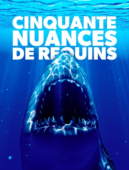 Cinquante nuances de requins