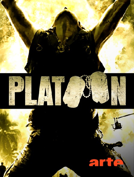 Arte - Platoon