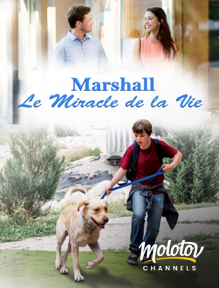 Mango - Marshall, le miracle de la vie