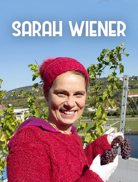 Sarah Wiener