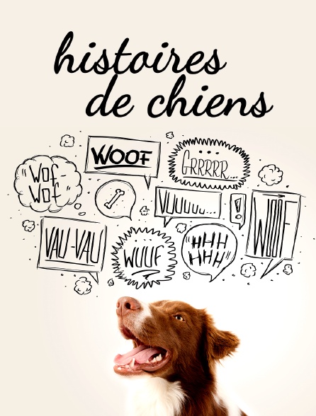 Histoires de chiens