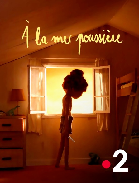 France 2 - A la mer poussière