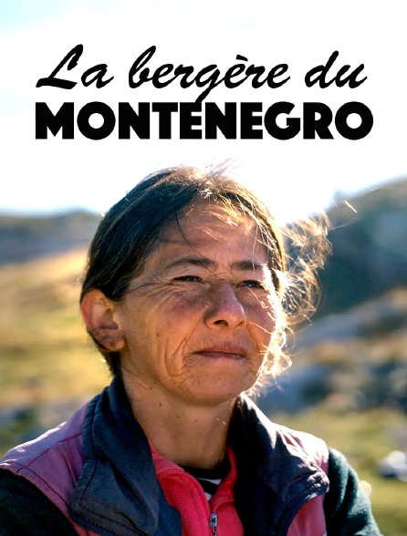 Monténégro : La bergère et le vent du changement