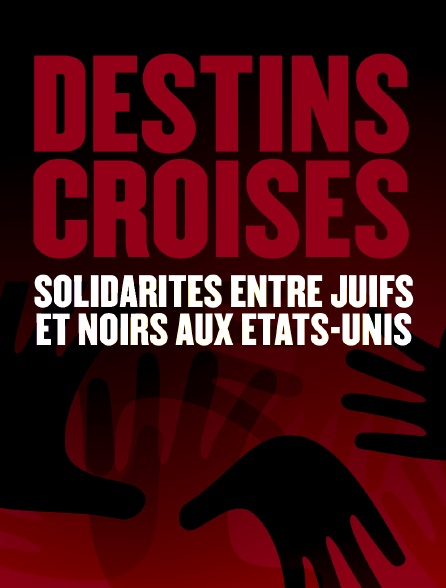 Destins croisés, solidarités entre juifs et noirs aux Etats-Unis