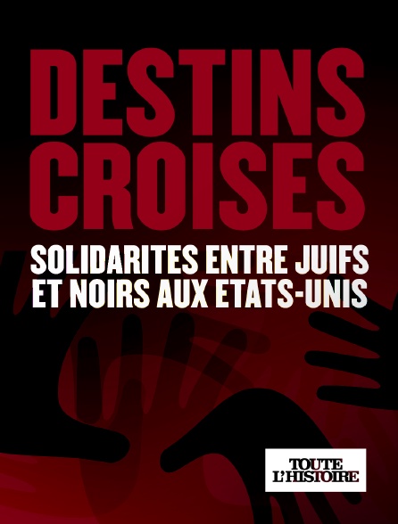 Toute l'Histoire - Destins croisés, solidarités entre juifs et noirs aux Etats-Unis