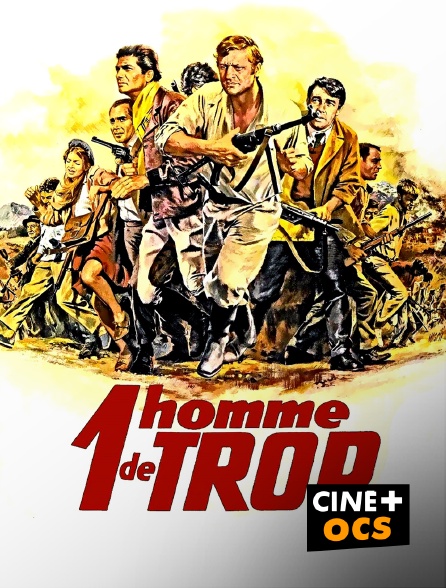 CINÉ Cinéma - 1 homme de trop