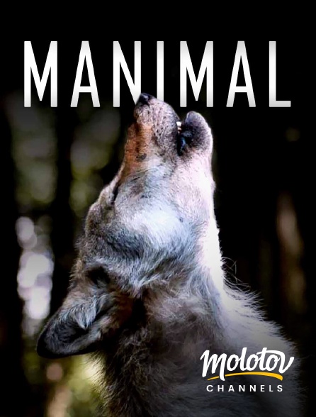 Molotov channels - Manimal