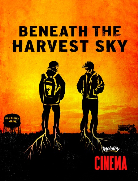 Molotov Channels Cinéma - Beneath the harvest sky
