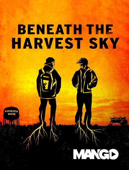 Mango - Beneath the harvest sky