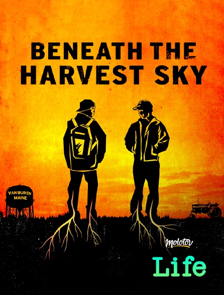 Molotov Channels Life - Beneath the harvest sky