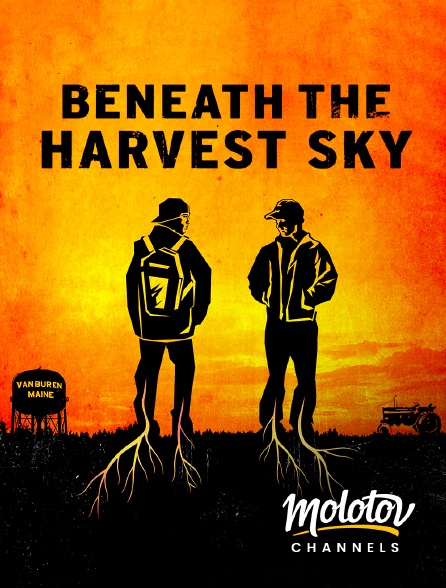 Mango - Beneath the harvest sky