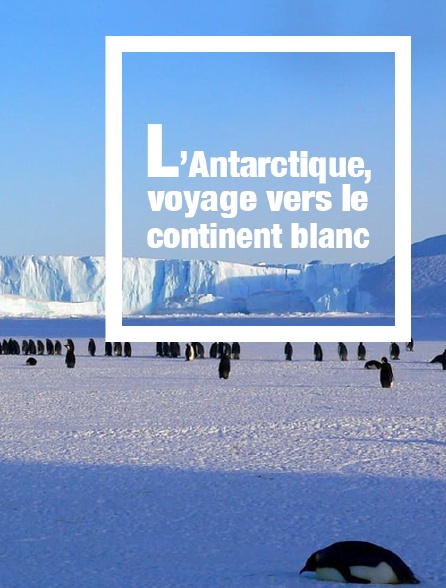 L'Antarctique, voyage vers le continent blanc