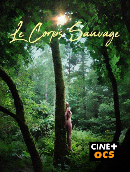 CINÉ Cinéma - Le Corps sauvage