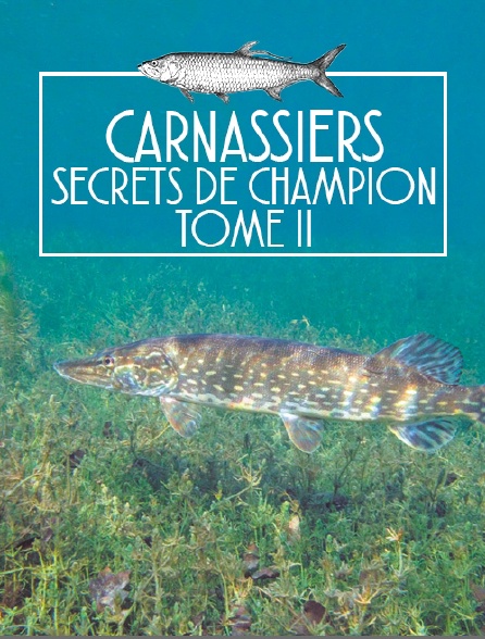 Carnassiers, secrets de champion tome II
