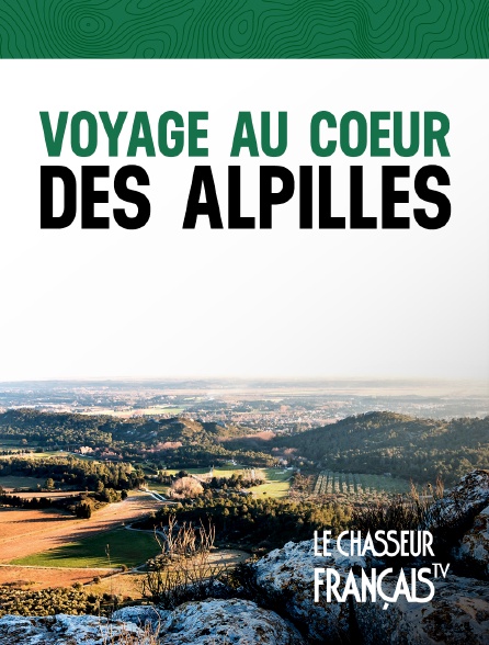 Le Chasseur Français - Voyage au coeur des Alpilles