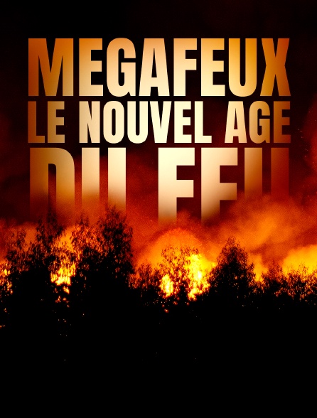 Mégafeux, le nouvel âge du feu