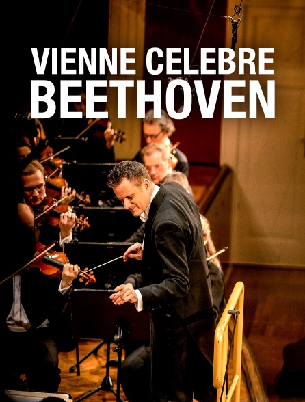 Vienne célèbre Beethoven