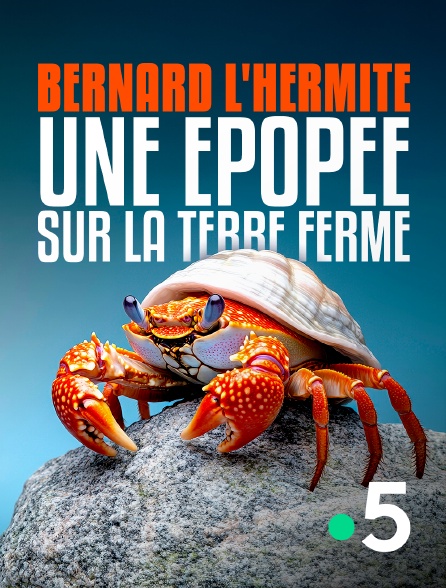 France 5 - Bernard l'hermite, une épopée sur la terre ferme