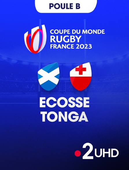 France 2 UHD - 1/4 de finale : le résumé de pays de Galles - Argentine