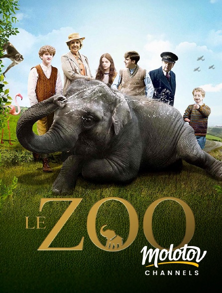 Molotov channels - Le Zoo