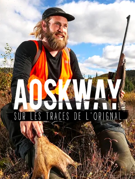 Aoskway, sur les traces de l'orignal