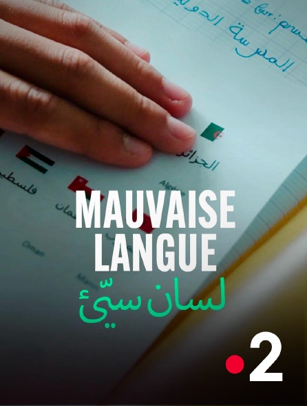 France 2 - Mauvaise langue
