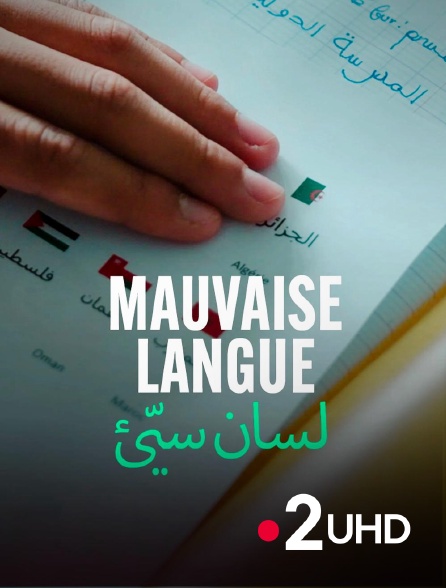 France 2 UHD - Mauvaise langue